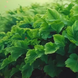 green wallpaper iphone