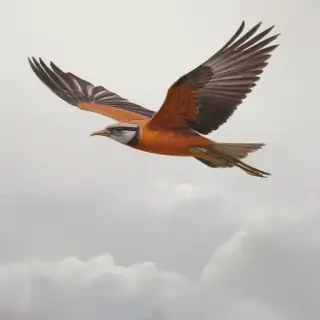 bird flying png