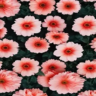 flower aesthetic backgrounds