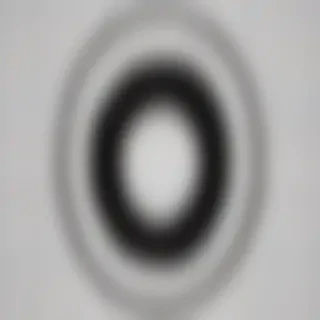 black circle transparent
