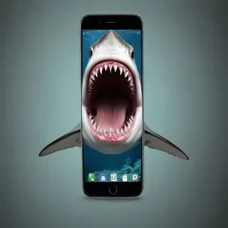 shark iphone wallpaper