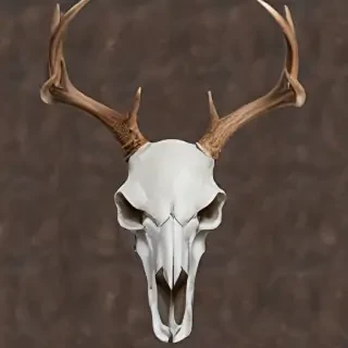 deer skull png