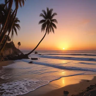 california png