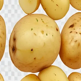 potato transparent