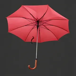 umbrella png
