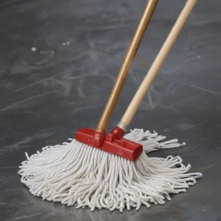 mop png