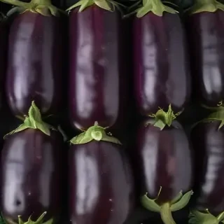 eggplant png