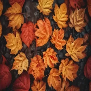 autumn leaves iphone wallpaper