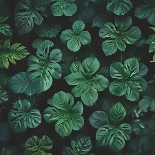 plants iphone wallpaper