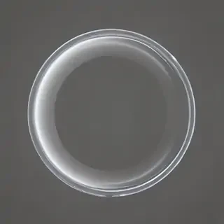 circle transparent background
