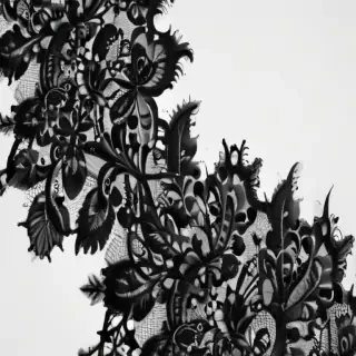 black lace png
