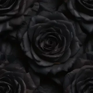 black roses png