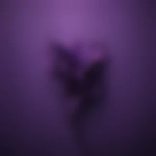 dark purple wallpaper iphone