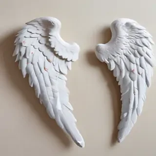 picture of angel wings