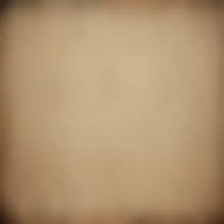 vintage texture overlay