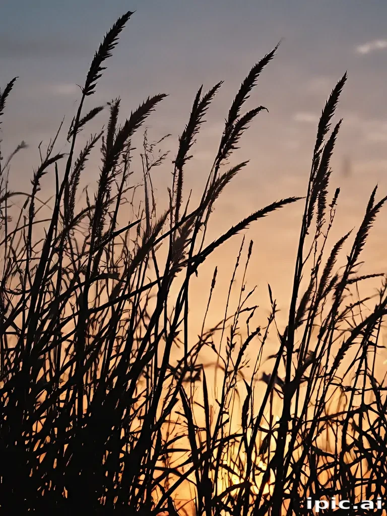 grass silhouette