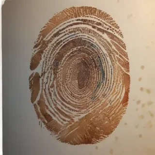 fingerprint png