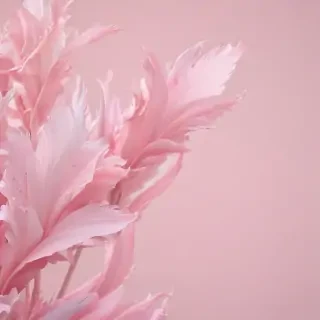 pastel pink wallpaper iphone