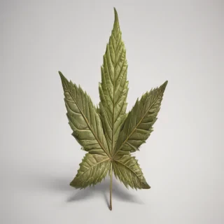 pot leaf png