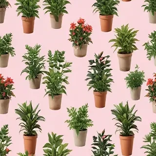 potted plants png