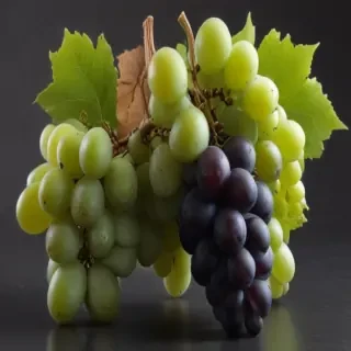 grapes png