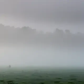 foggy background