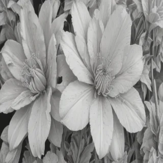 pencil drawn flowers