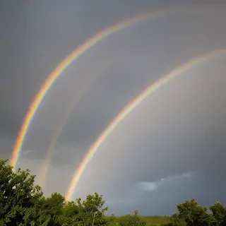 rainbow pictures
