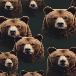 bear background