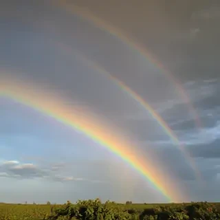 rainbow pictures