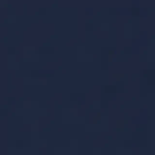 navy blue bg
