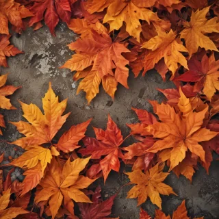 fall wallpaper for iphone