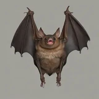 bat png