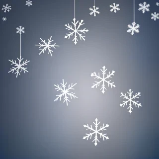 snow flakes png