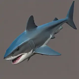 shark png
