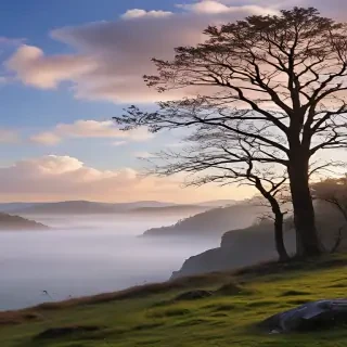 background scenery