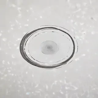 pictures of circles