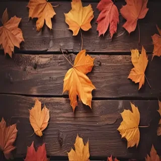 fall wallpapers iphone