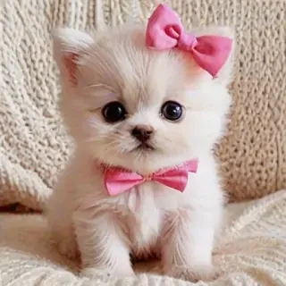 pink cute pics