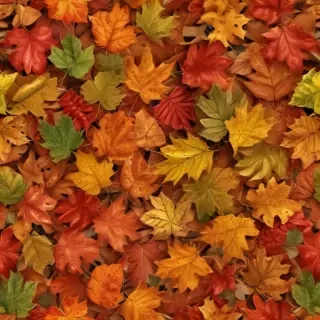 png fall leaves
