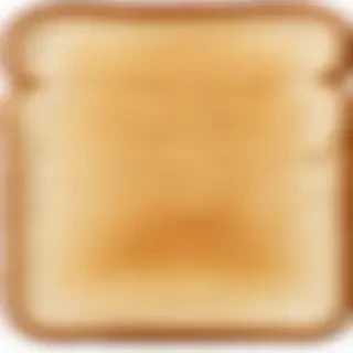 toast png