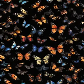butterflies in black background