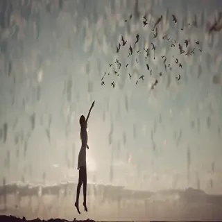 letting go images
