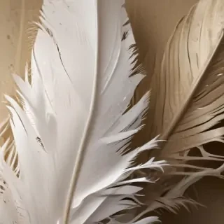 feather background