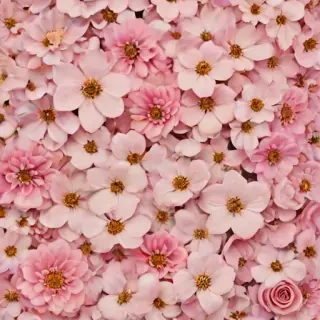 flowers aesthetic wallpaper
