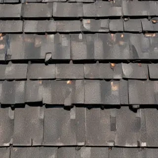 picture of shingles