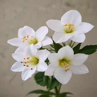 aesthic flower