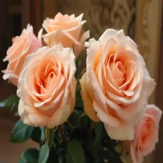 roses in background