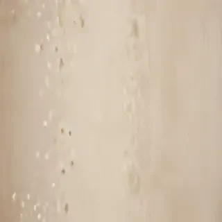 neutral backgrounds