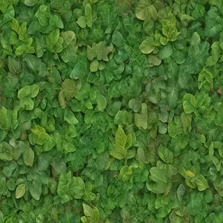 leaf backgrounds